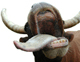 Jenzas avatar