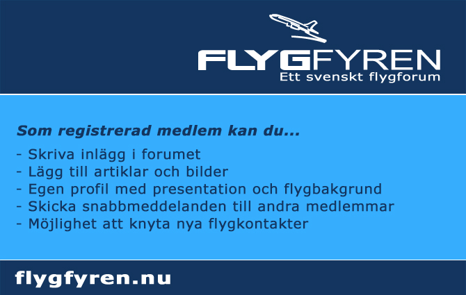 Flyer (screenshot) wF 08.jpg