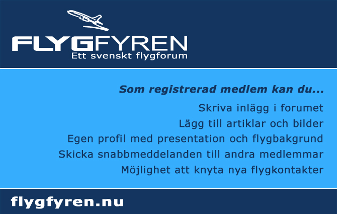 Flyer (screenshot) wF 09.jpg