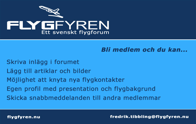 Flyer (screenshot) wF 11.jpg