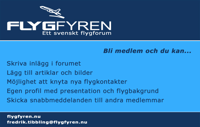 Flyer (screenshot) wF 12.jpg