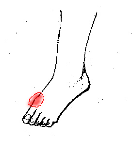 fot.jpg