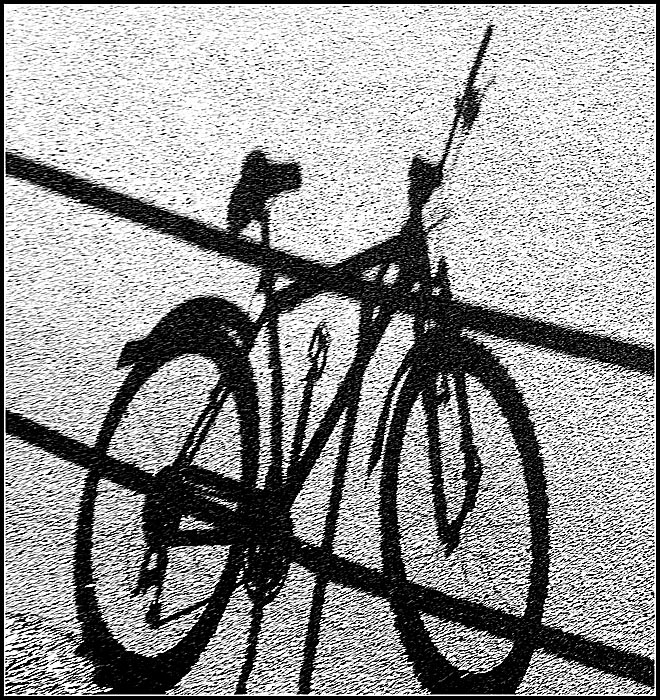 cykel3-copy.jpg