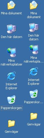 Fel.JPG