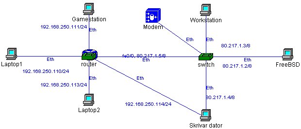 net2.jpg