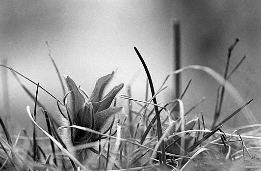 060422_film1_trix_34.jpg