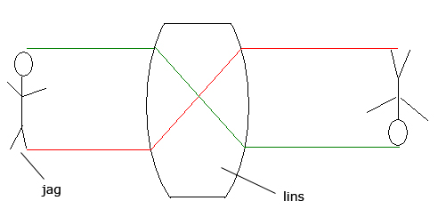 lins.jpg