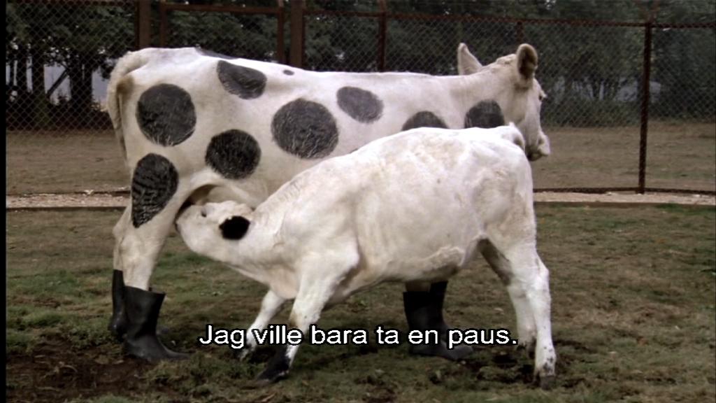 capture2.jpg