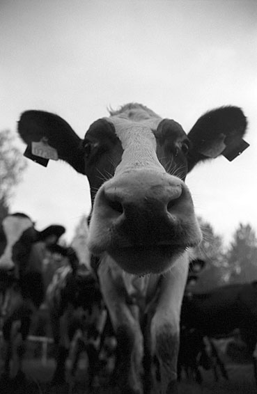060524_film1_trix_29.jpg