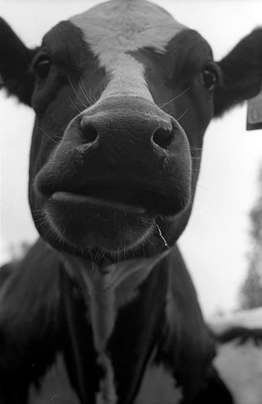 060524_film1_trix_35.jpg