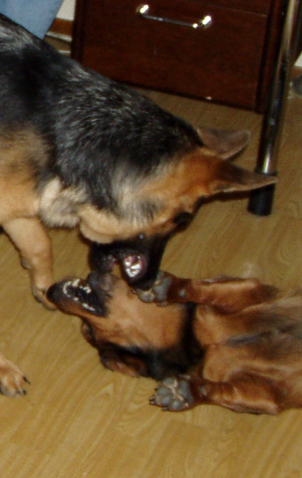 midas&beata.jpg