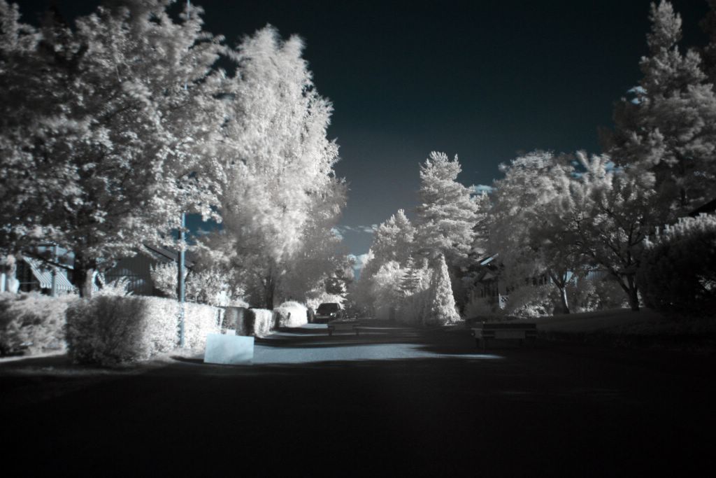 IMG_1926_edit.jpg