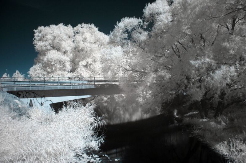 ir_uppsala_4.jpg