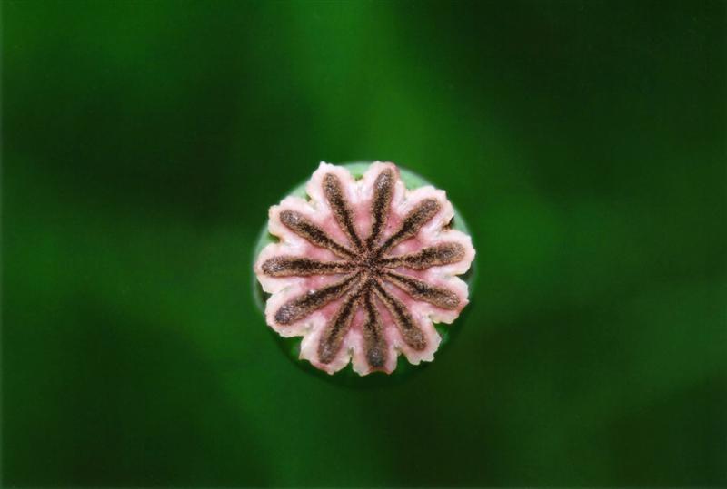 ASC_0012.jpg