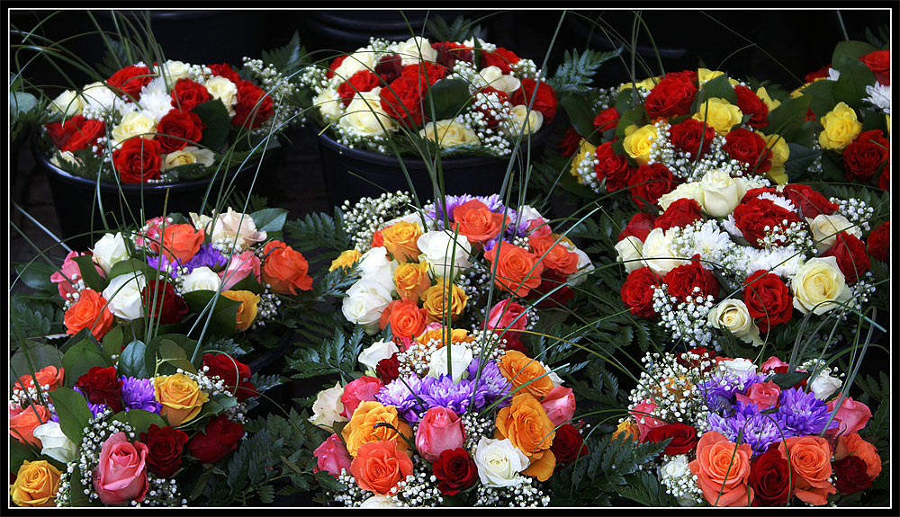 powerflower.jpg