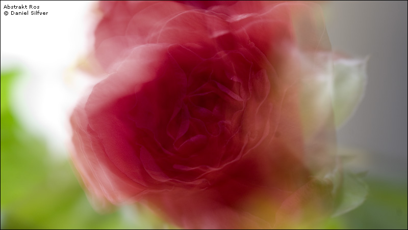 060814_abstraktros.jpg