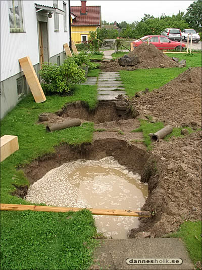 Mullvadar i trädgården.jpg
