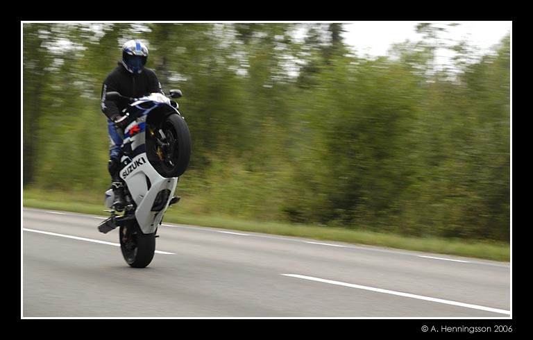 suzuki.jpg