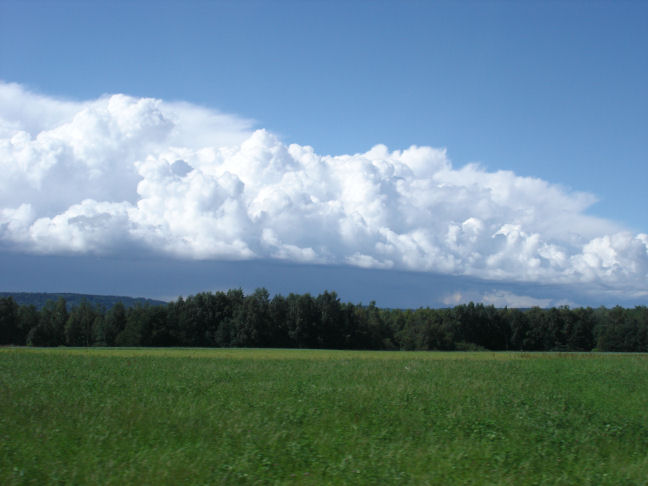bidrag7.jpg