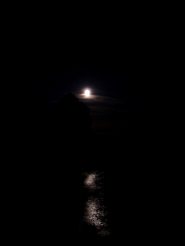 DSC01861.jpg