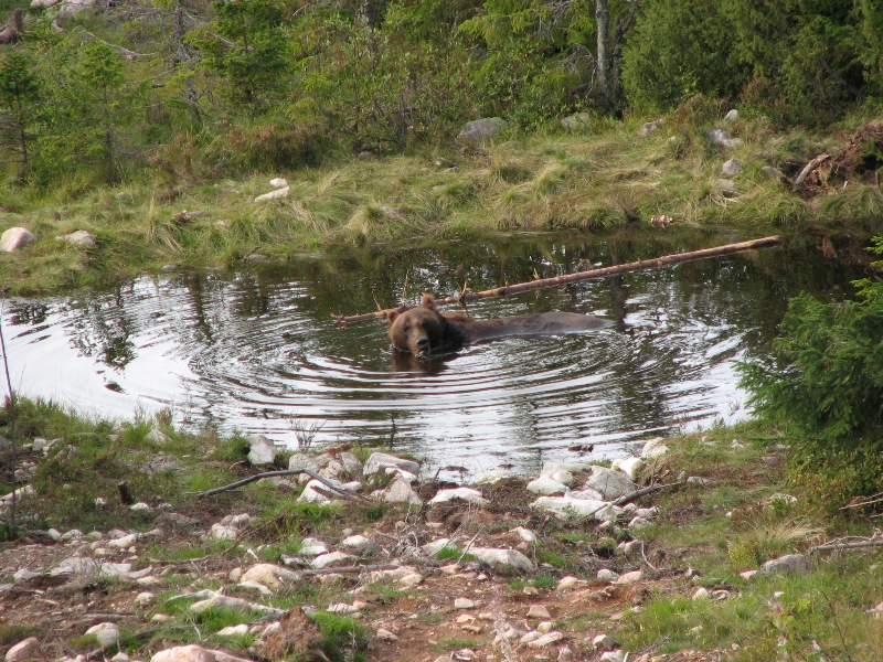 IMG_0079.JPG