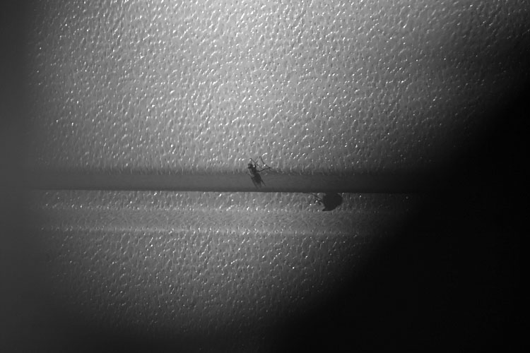 060923_0014.jpg