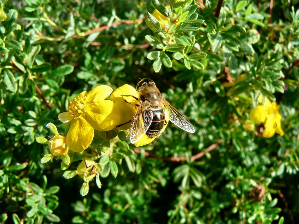 P1000986_small.jpg