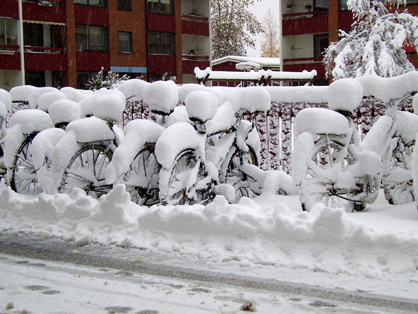 vinter1.jpg