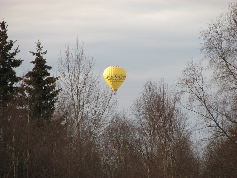 ballong010.JPG
