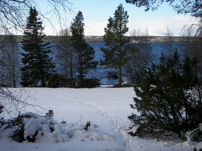 100_0428.JPG