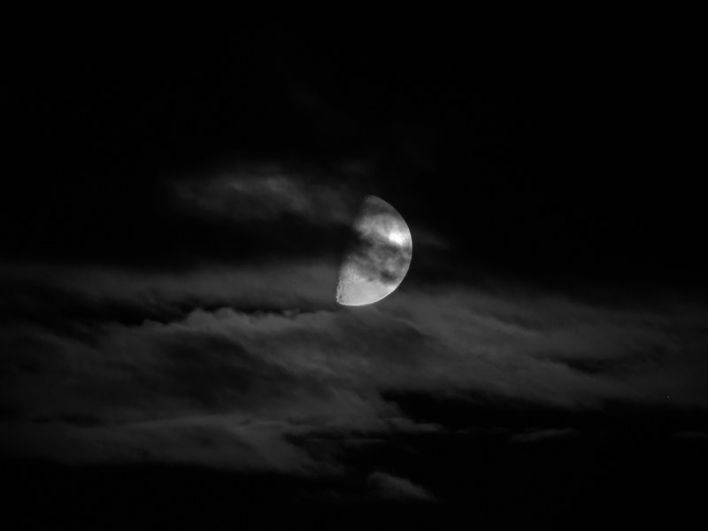 wf_moon2.jpg