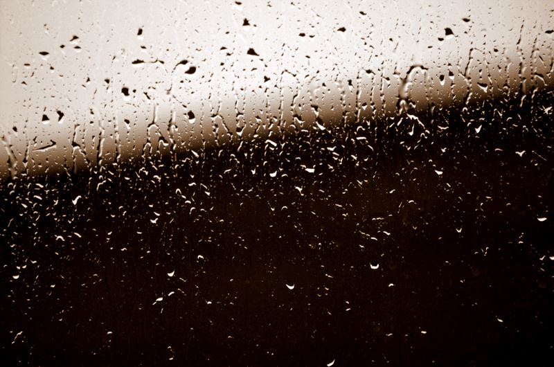 DSC_1470-3.jpg