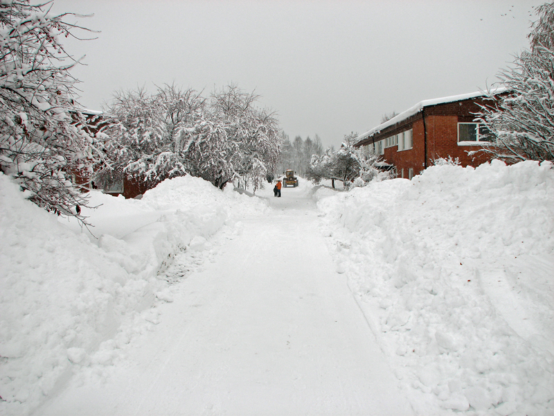 wf_snow.jpg