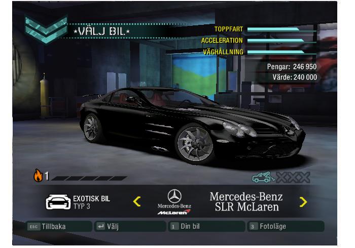 slr.JPG