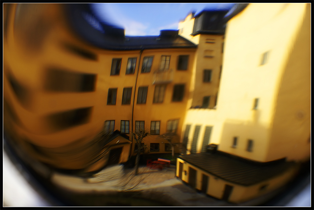 backyard1-copy.jpg