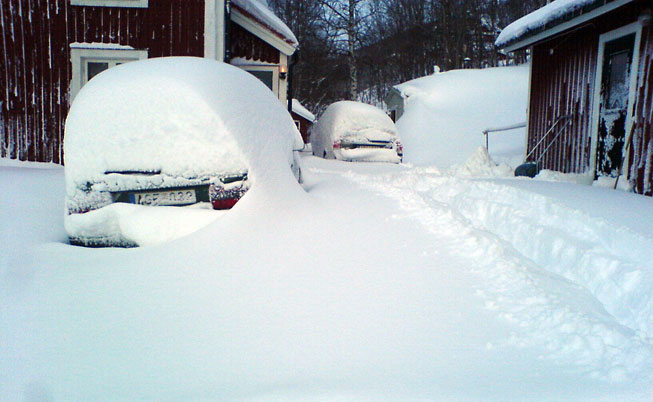 20070117.jpg