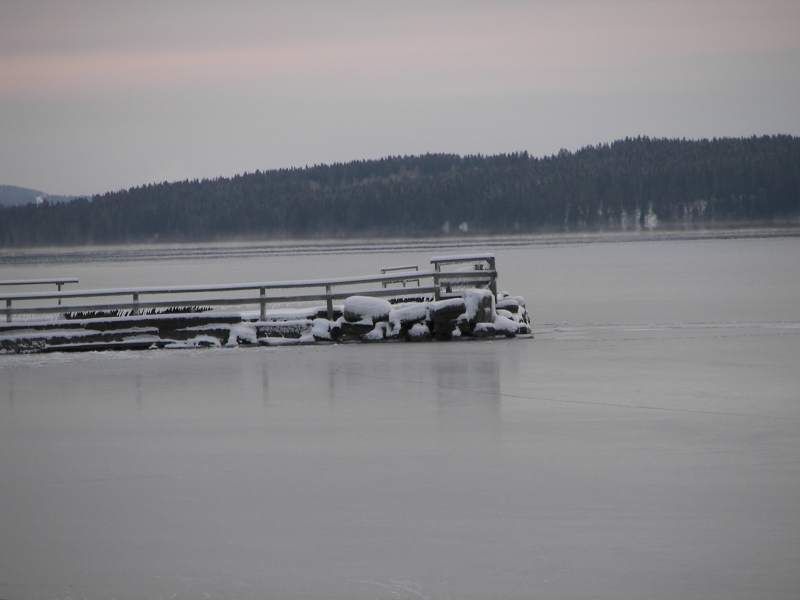 grått.jpg