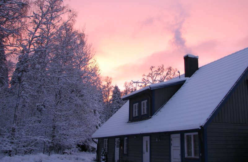 Frost_ 001.jpg