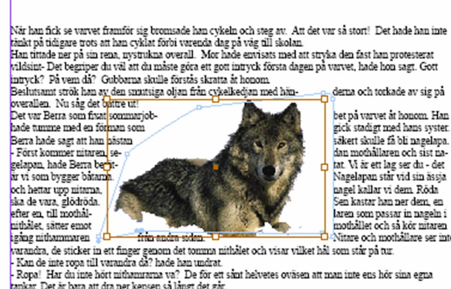 bild.jpg