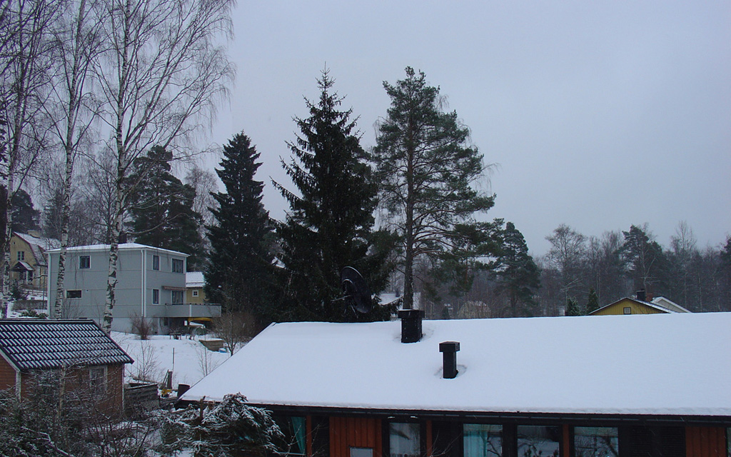 DSC01924f.jpg
