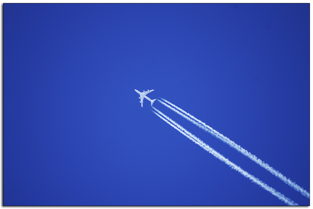 _fly22.jpg
