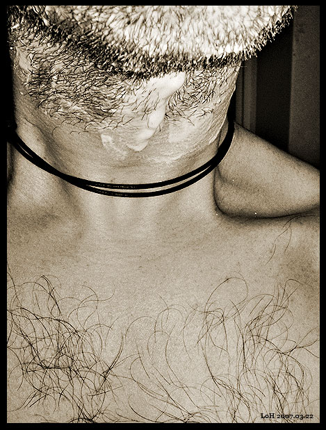 shave.jpg