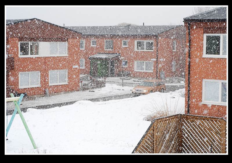 wf_snow_april.jpg