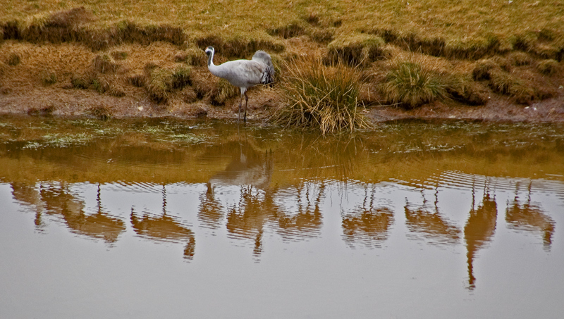 DSC_3295_redigerad-1.jpg