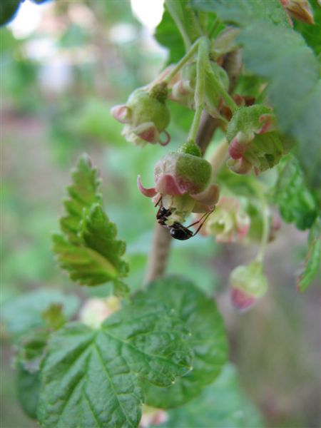 2007_0501AO.jpg
