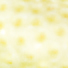 liten.jpg