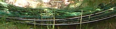 Image2.jpg