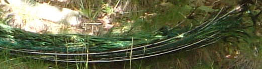Image2.jpg