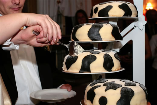 cowcake.jpg