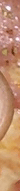 cluee.gif